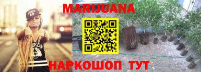 шишки Краснодар