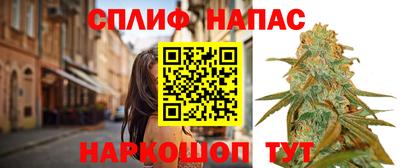 шишки Краснодар