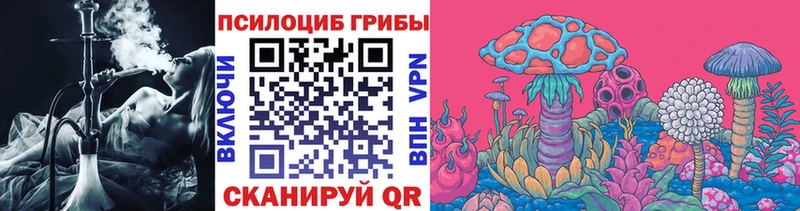 закладки  Отрадный  Псилоцибиновые грибы Cubensis 