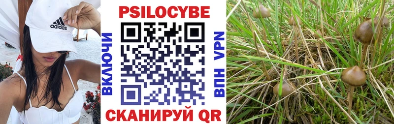 Псилоцибиновые грибы Cubensis Отрадный