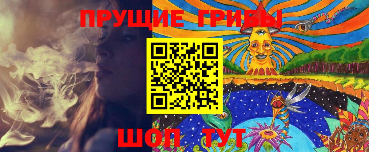 Галлюциногенные грибы Psilocybine cubensis Отрадный